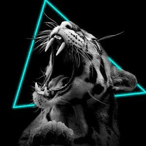 Meet your Posher, Hailey